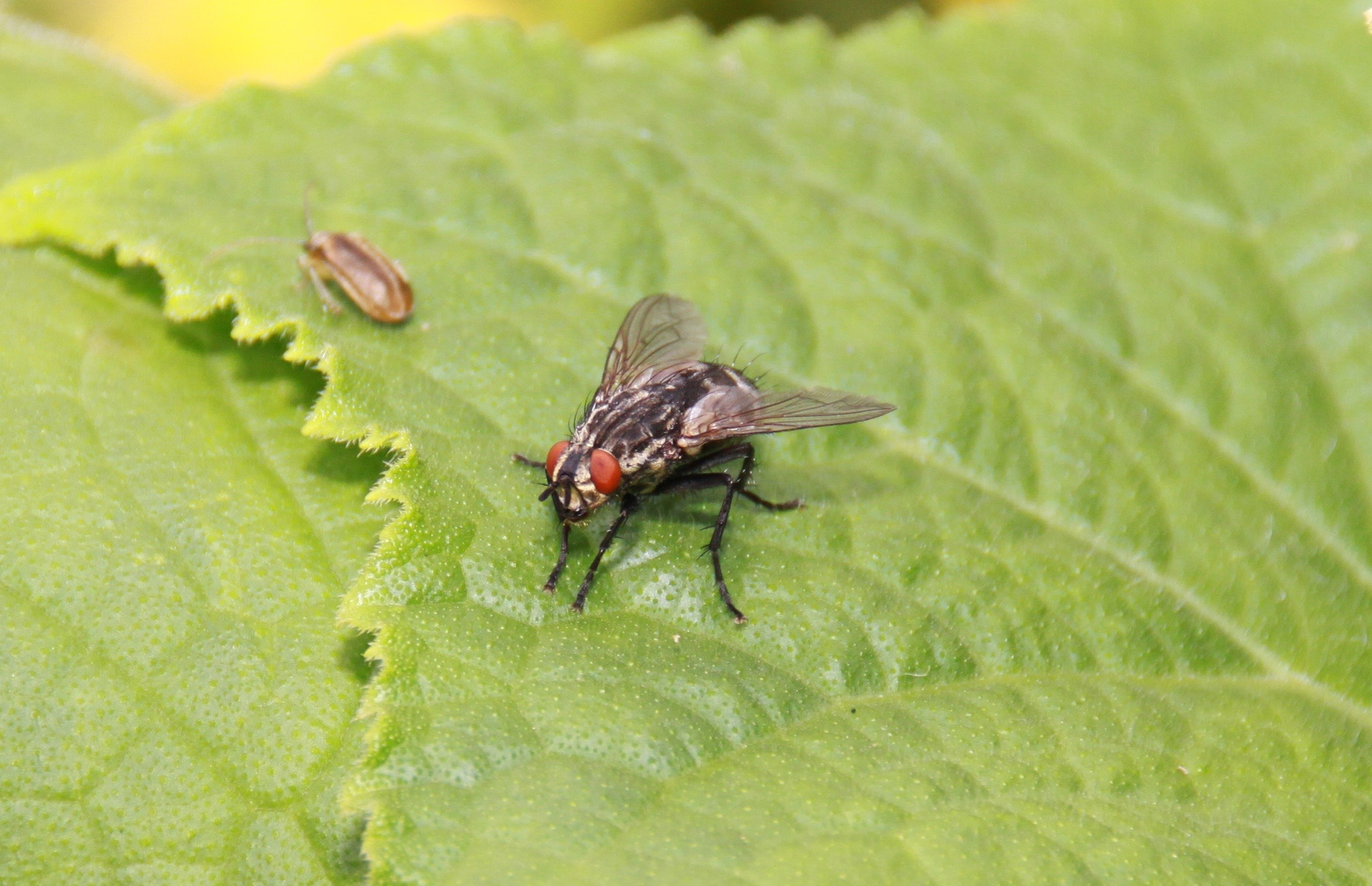 Canon EOS 50D sample photo