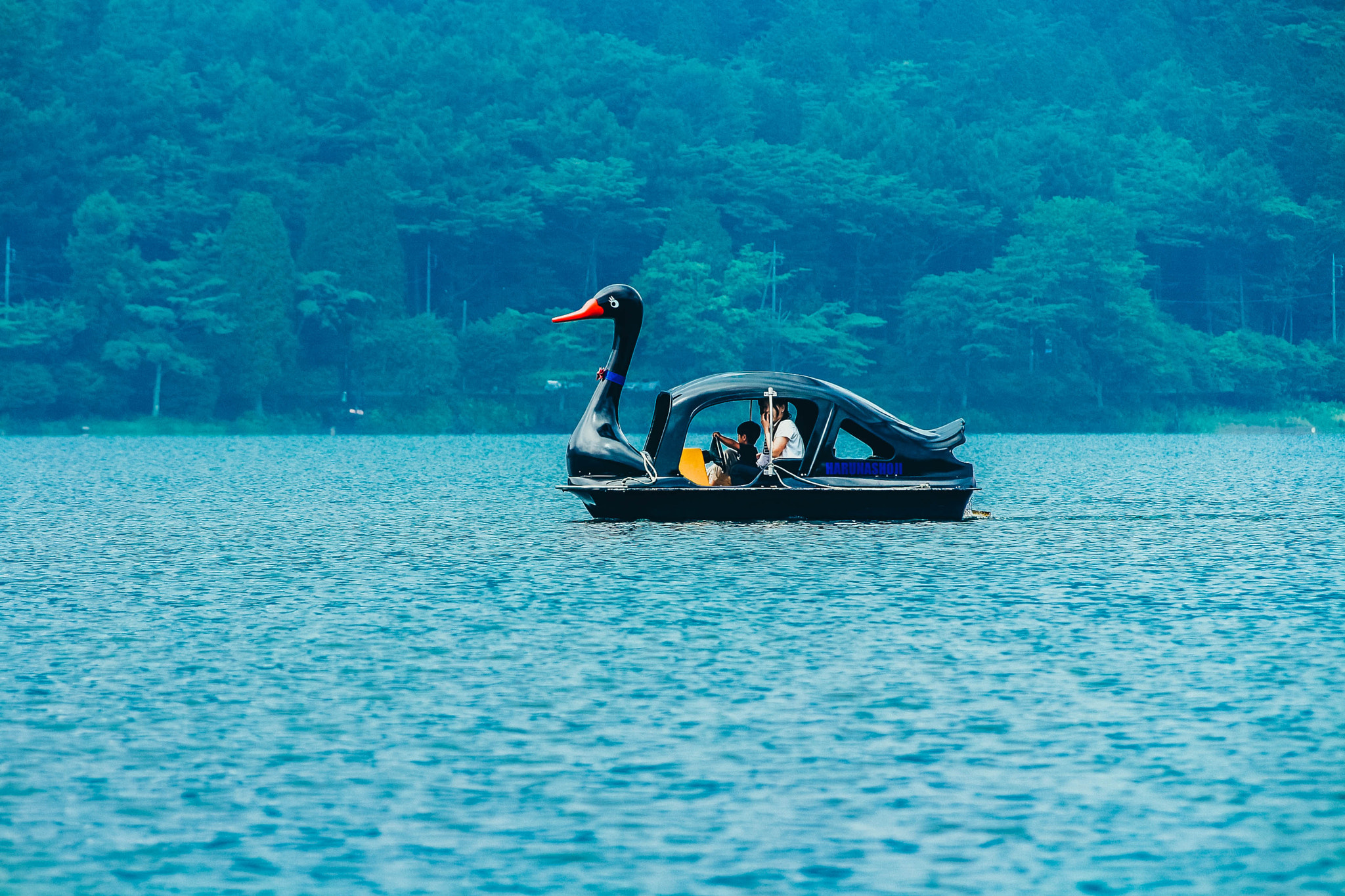 Canon EOS 700D (EOS Rebel T5i / EOS Kiss X7i) sample photo. Duck boat photography