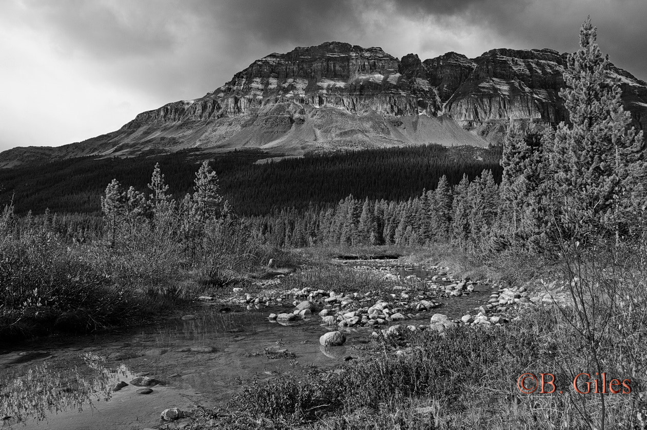 Pentax K20D sample photo. Stormy fall day photography