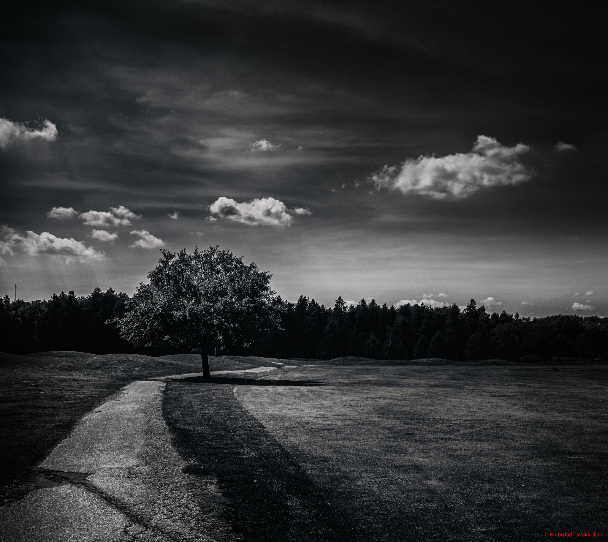 Canon EF 28-300mm F3.5-5.6L IS USM sample photo. Cardinal golf club photography