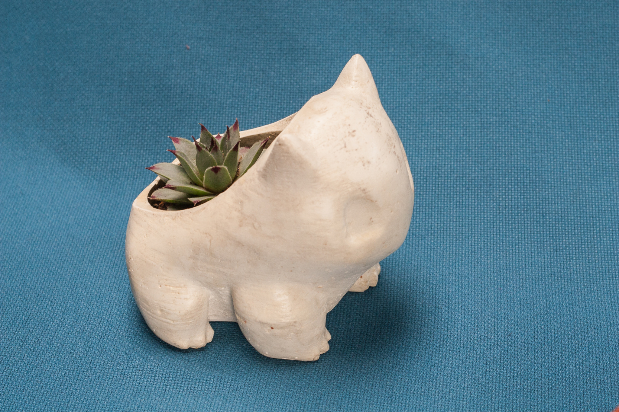 Canon EOS 30D + Canon EF 50mm F1.8 II sample photo. Bulbasaur planter photography