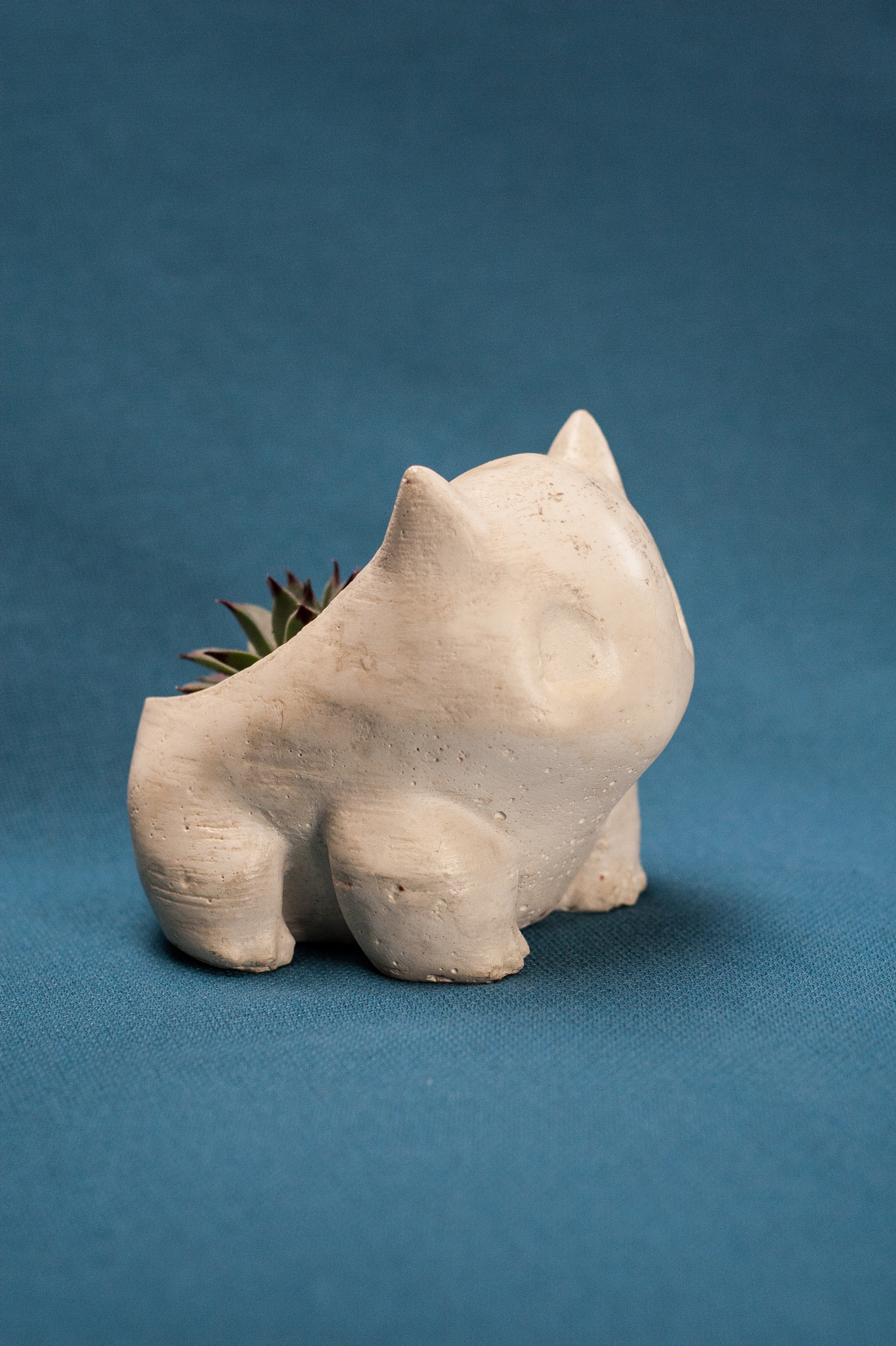 Canon EOS 30D + Canon EF 50mm F1.8 II sample photo. Bulbasaur planter photography