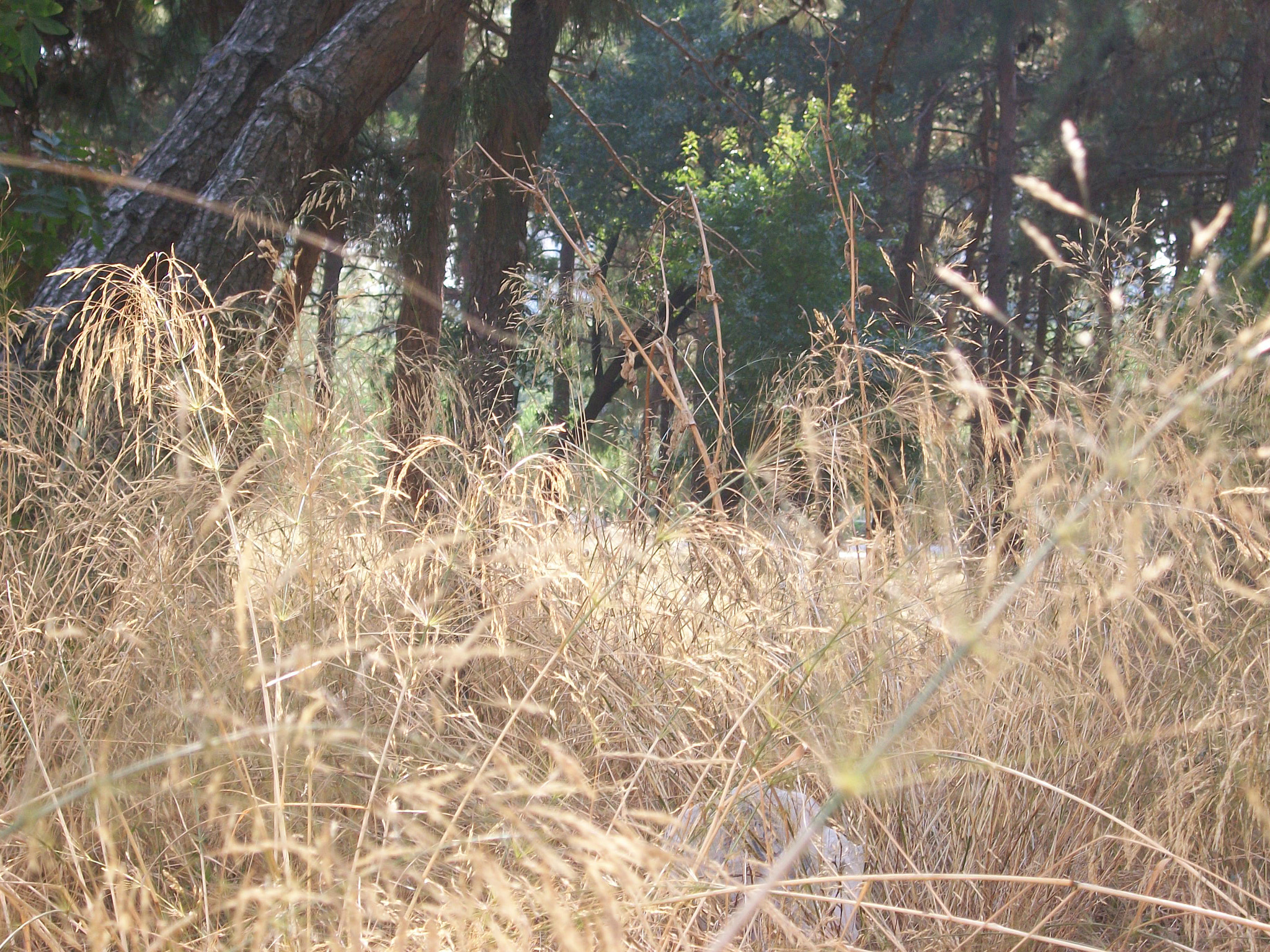 Kodak EASYSHARE M340 DIGITAL CAMERA sample photo. Nature photography