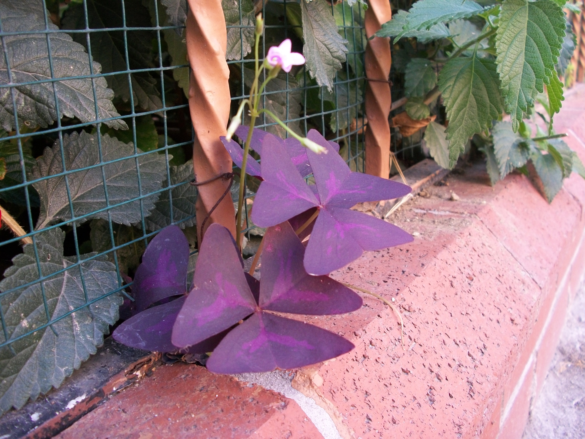 Kodak EASYSHARE M340 DIGITAL CAMERA sample photo. Nature photography