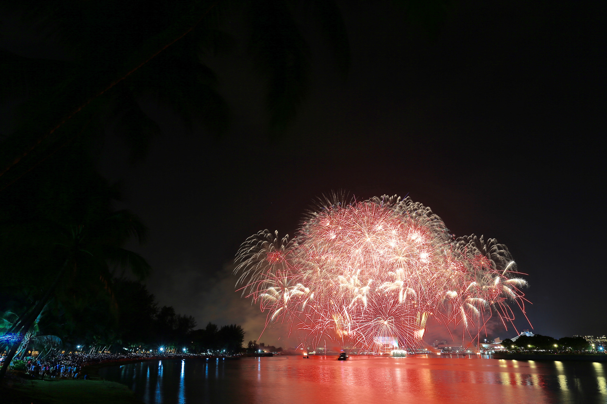Canon EOS-1D X + Canon EF 17-40mm F4L USM sample photo. Singapore's national day parade 2016 fireworks photography