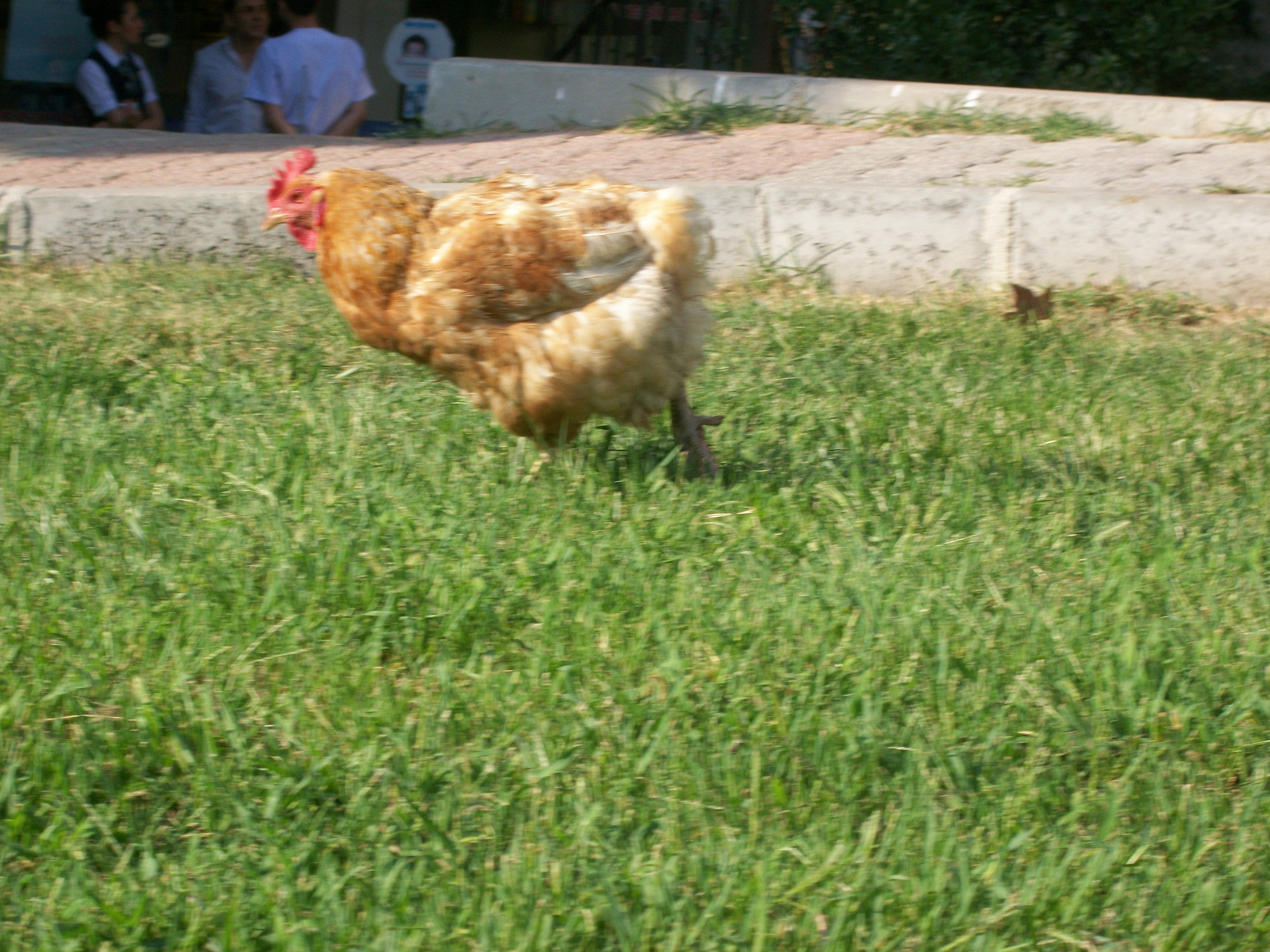 Kodak EASYSHARE M340 DIGITAL CAMERA sample photo. Nature photography