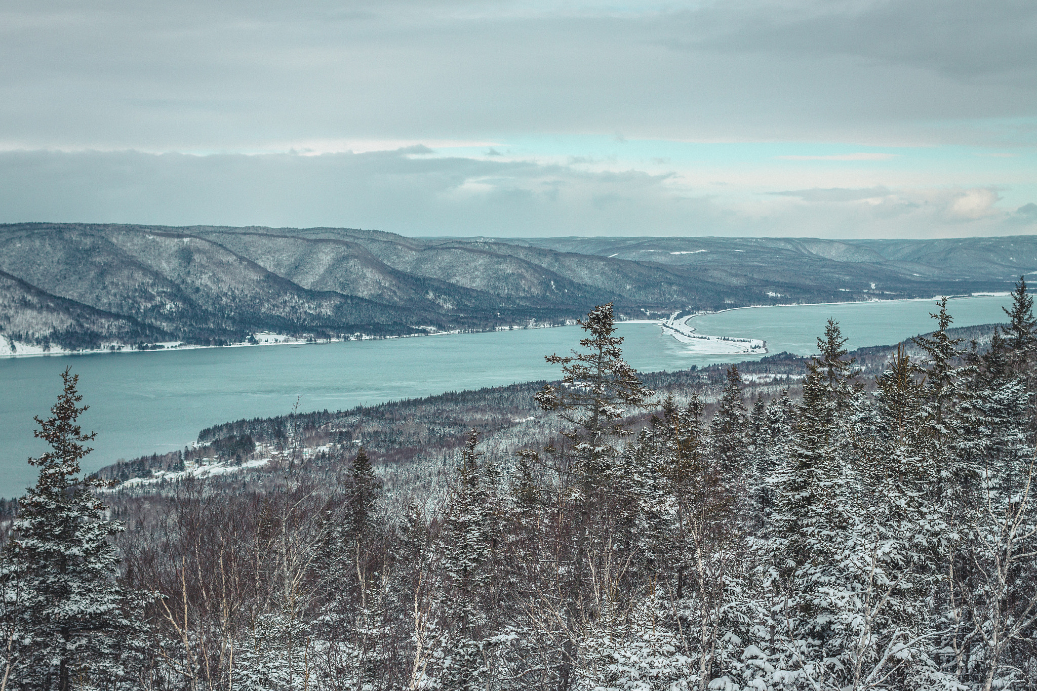 Canon EOS 50D + Canon EF 40mm F2.8 STM sample photo. Nova scotia photography