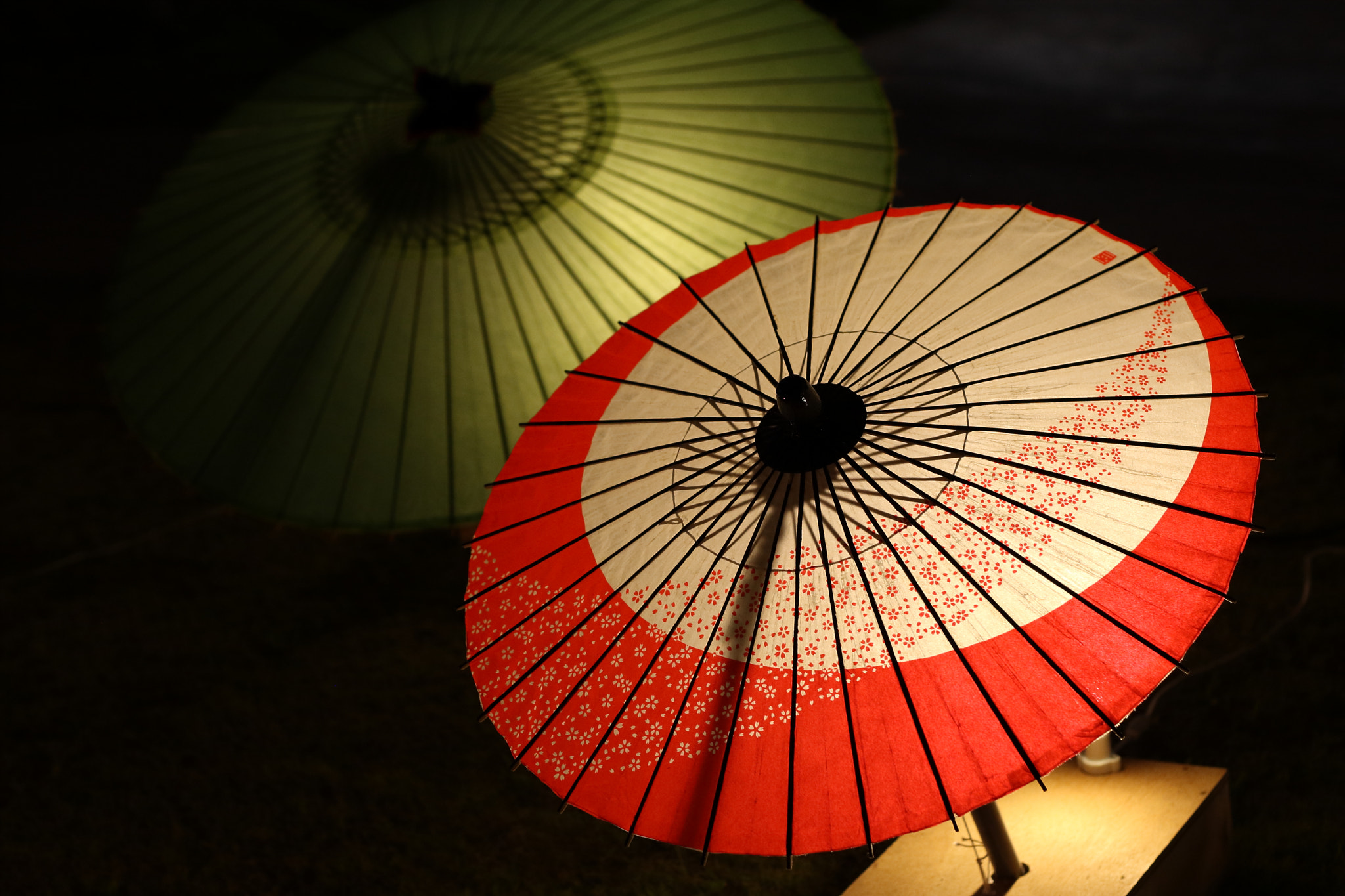 Canon EOS-1D Mark III sample photo. 和の傘アカリ photography