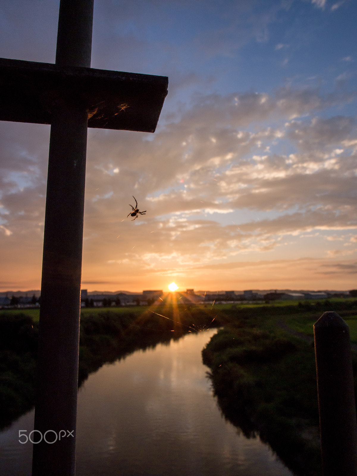 Olympus PEN E-PM1 + OLYMPUS M.12mm F2.0 sample photo. Spider in sunset photography