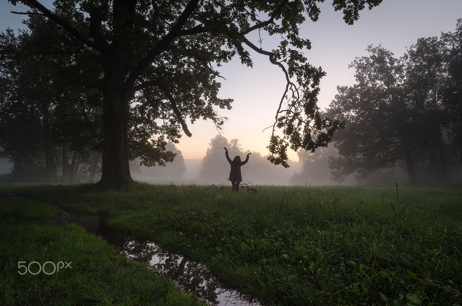 Samyang 14mm F2.8 ED AS IF UMC sample photo. After the rain photography