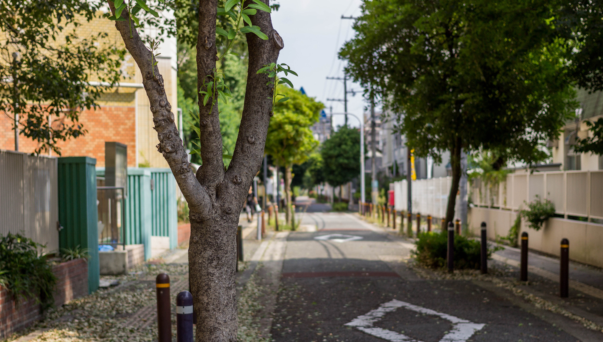 Canon EOS 1200D (EOS Rebel T5 / EOS Kiss X70 / EOS Hi) + Canon EF 40mm F2.8 STM sample photo. Japan street photography
