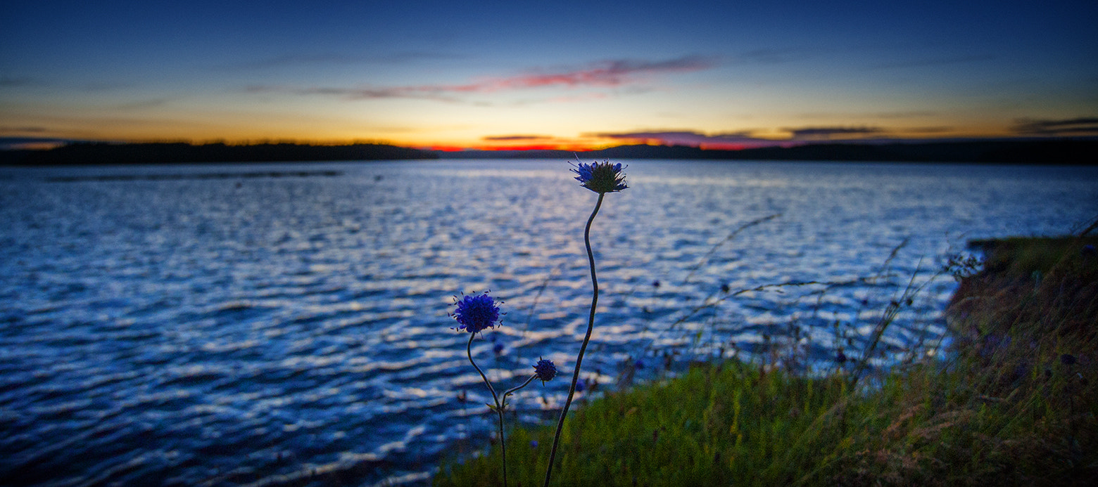 Nikon D3 sample photo. Sunset photography