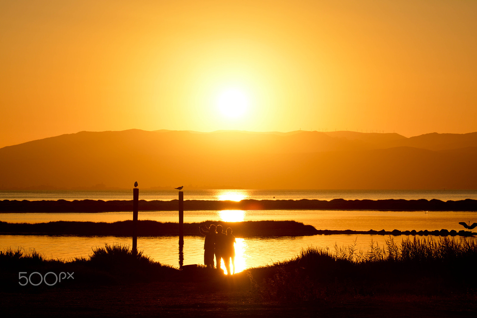 Nikon D5200 + Sigma 18-125mm F3.8-5.6 DC OS HSM sample photo. Contemplation photography