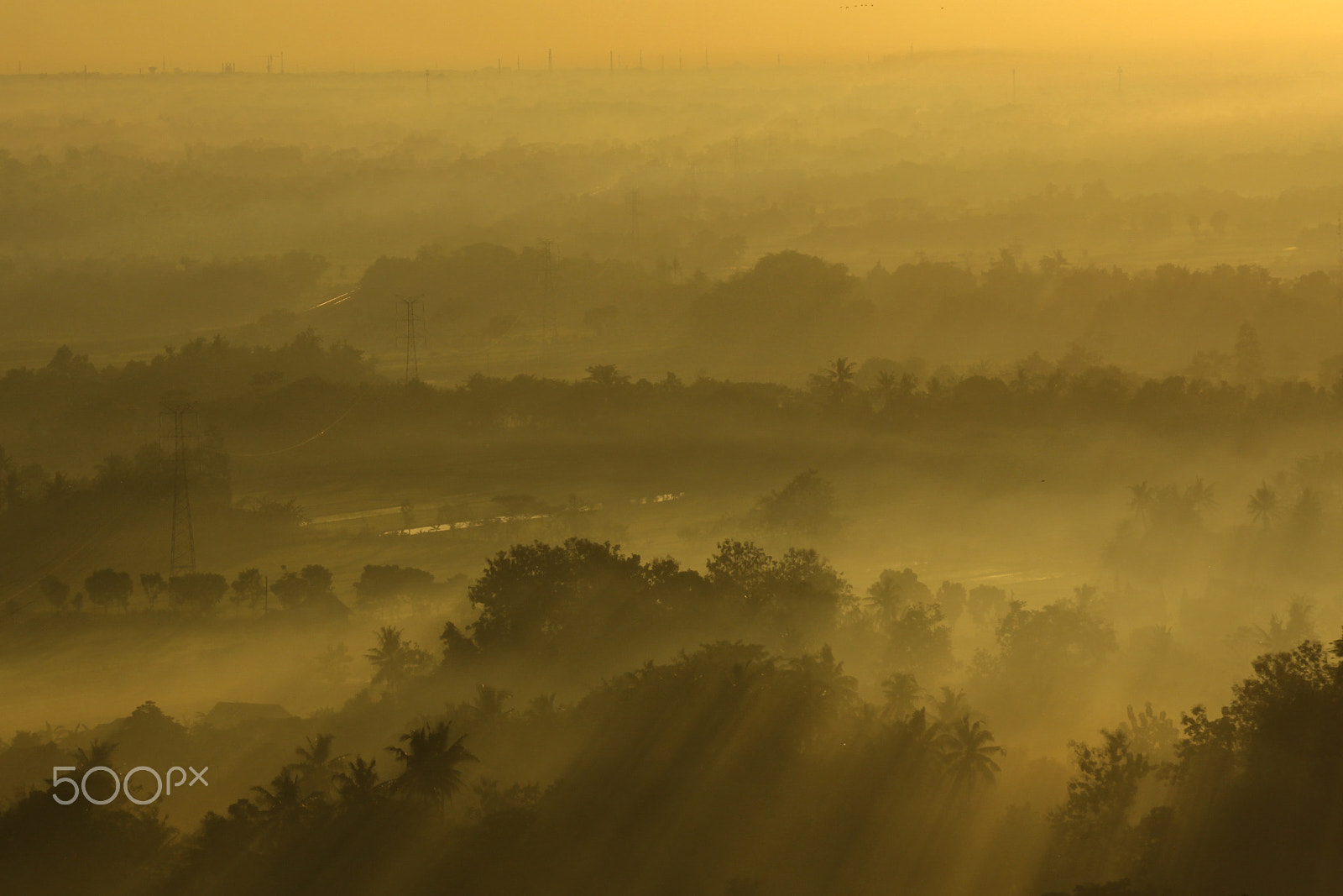 Canon EF 100-300mm F4.5-5.6 USM sample photo. Morning photography