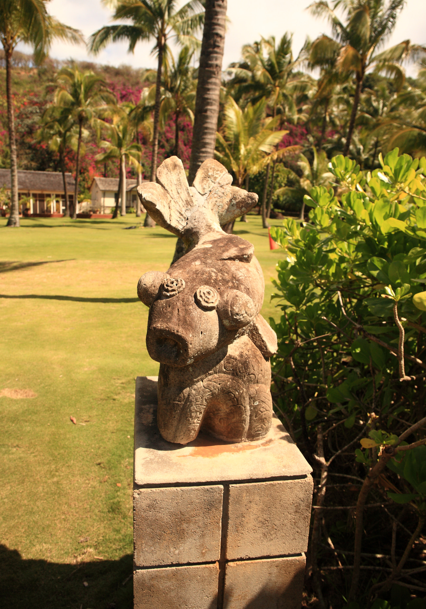 Canon EF 24-70mm F4L IS USM sample photo. Stone fish photography