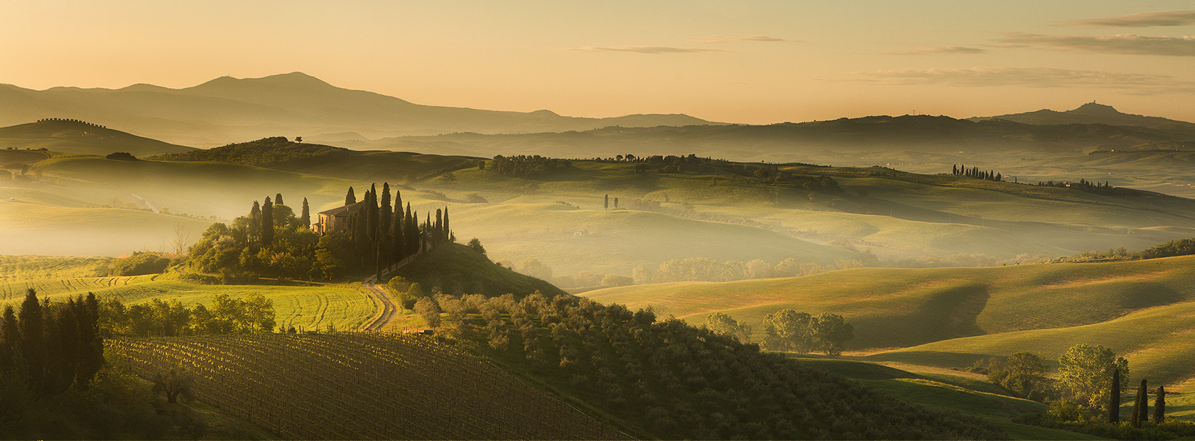 Canon EOS 5DS + Canon EF 24-70mm F2.8L USM sample photo. Val d'orcia photography