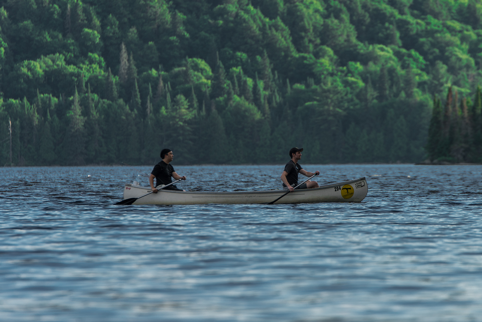 Sony a7 II sample photo. Paddling through algonquin park photography