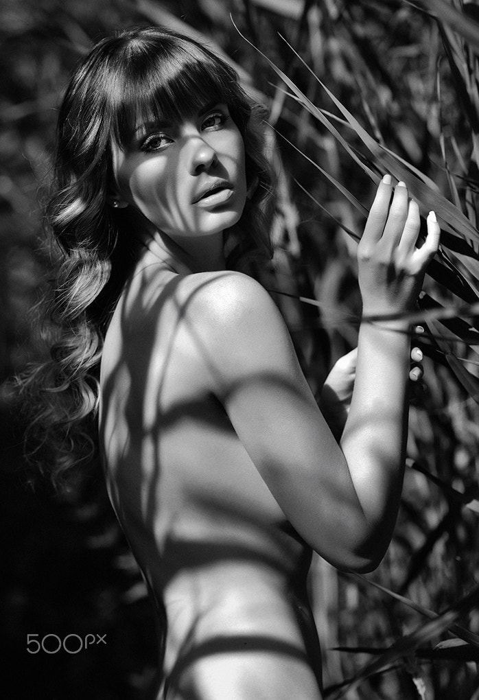 Nikon AF Nikkor 105mm F2D DC sample photo. Wenny photography