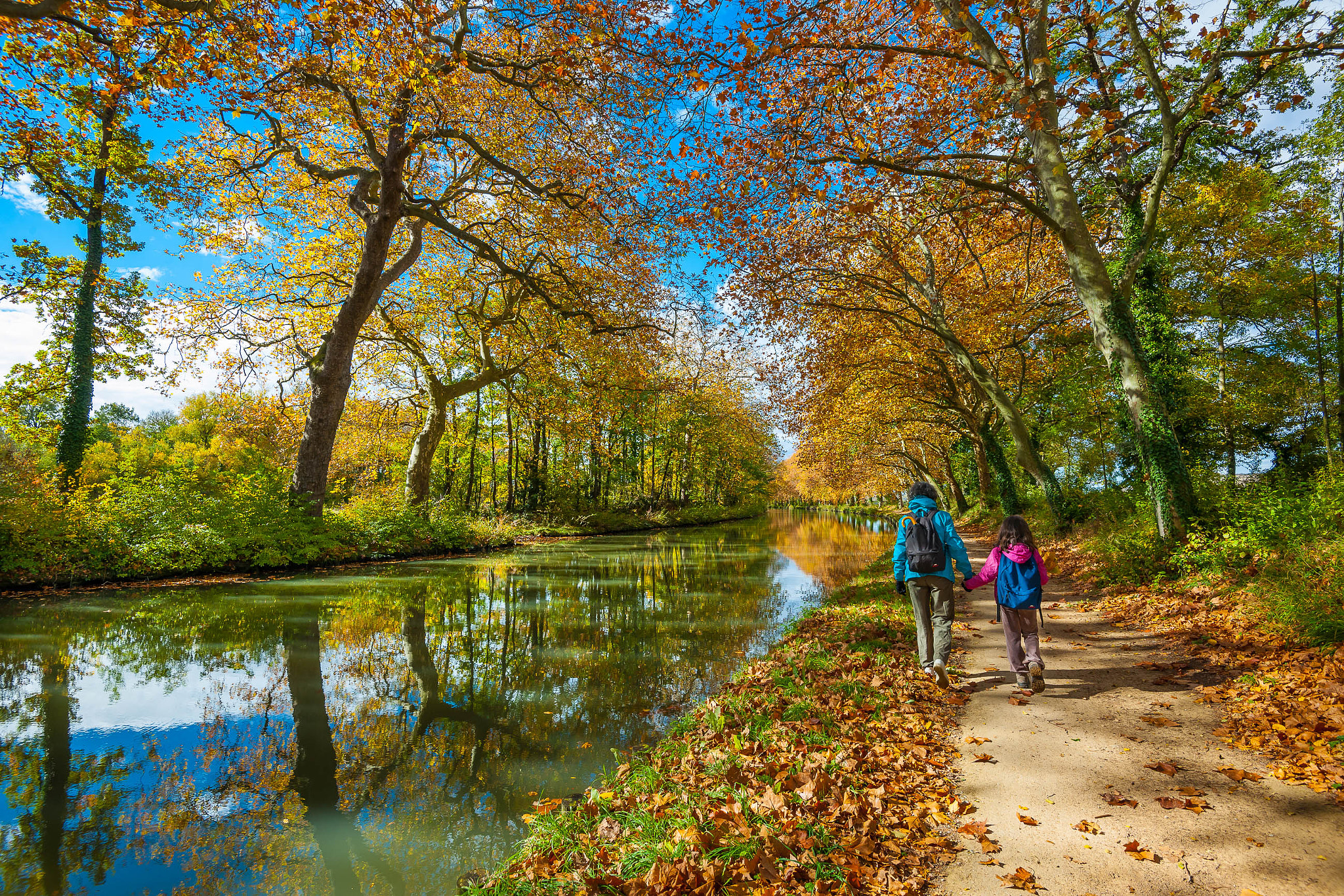 Nikon D3X sample photo. Along the canal du midi photography