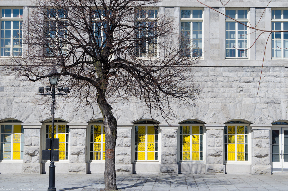 Nikon AF Nikkor 24-85mm F2.8-4D IF sample photo. Yellow.jpg photography