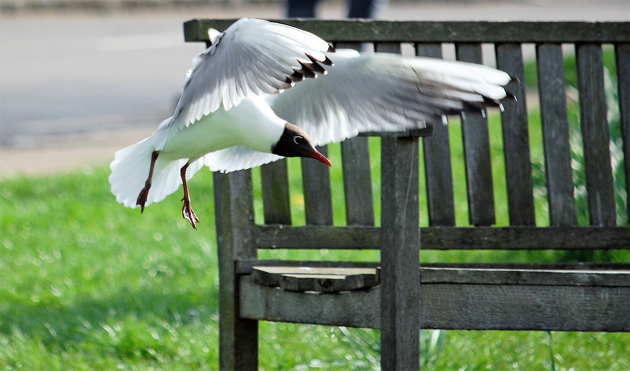 Nikon D40X sample photo. Nearly there... photography