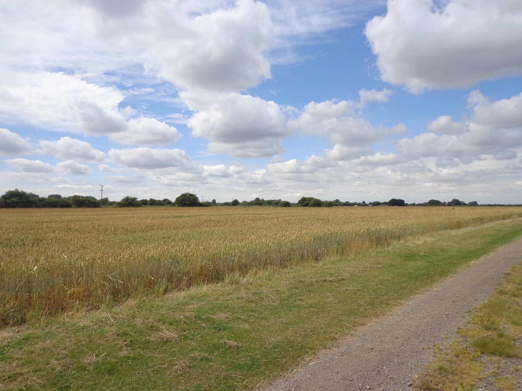 Sony DSC-W650 sample photo. Countryside photography