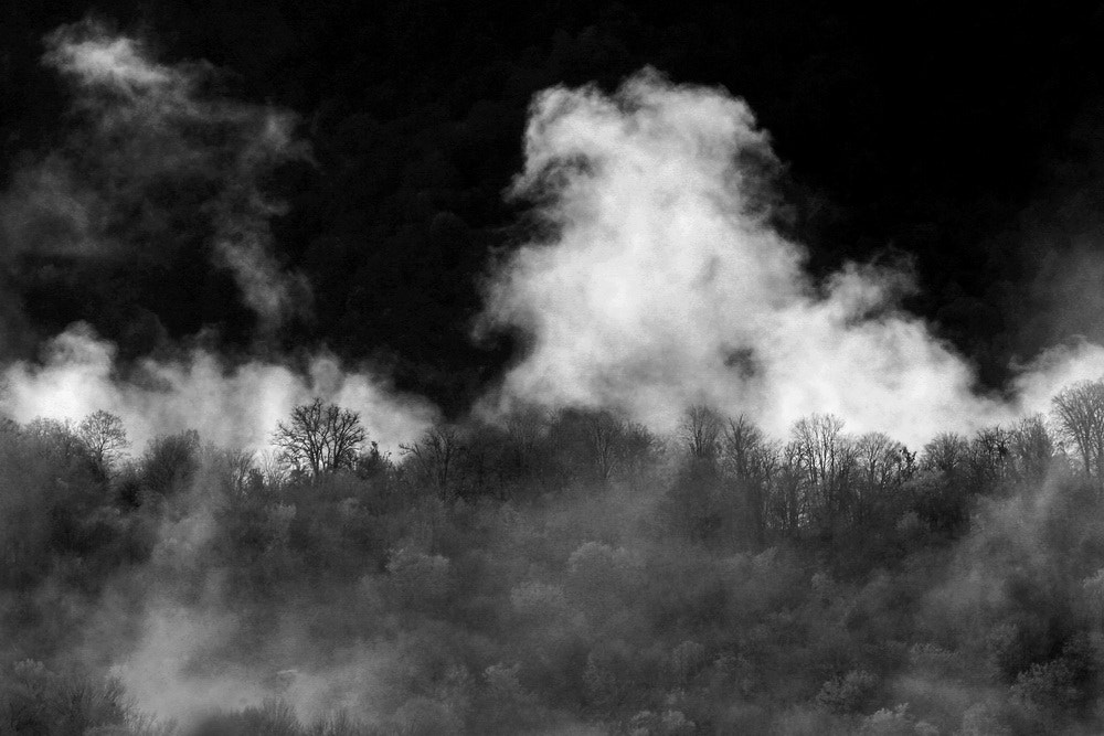 Canon EF 100-400mm F4.5-5.6L IS USM sample photo. Secret of jungle photography