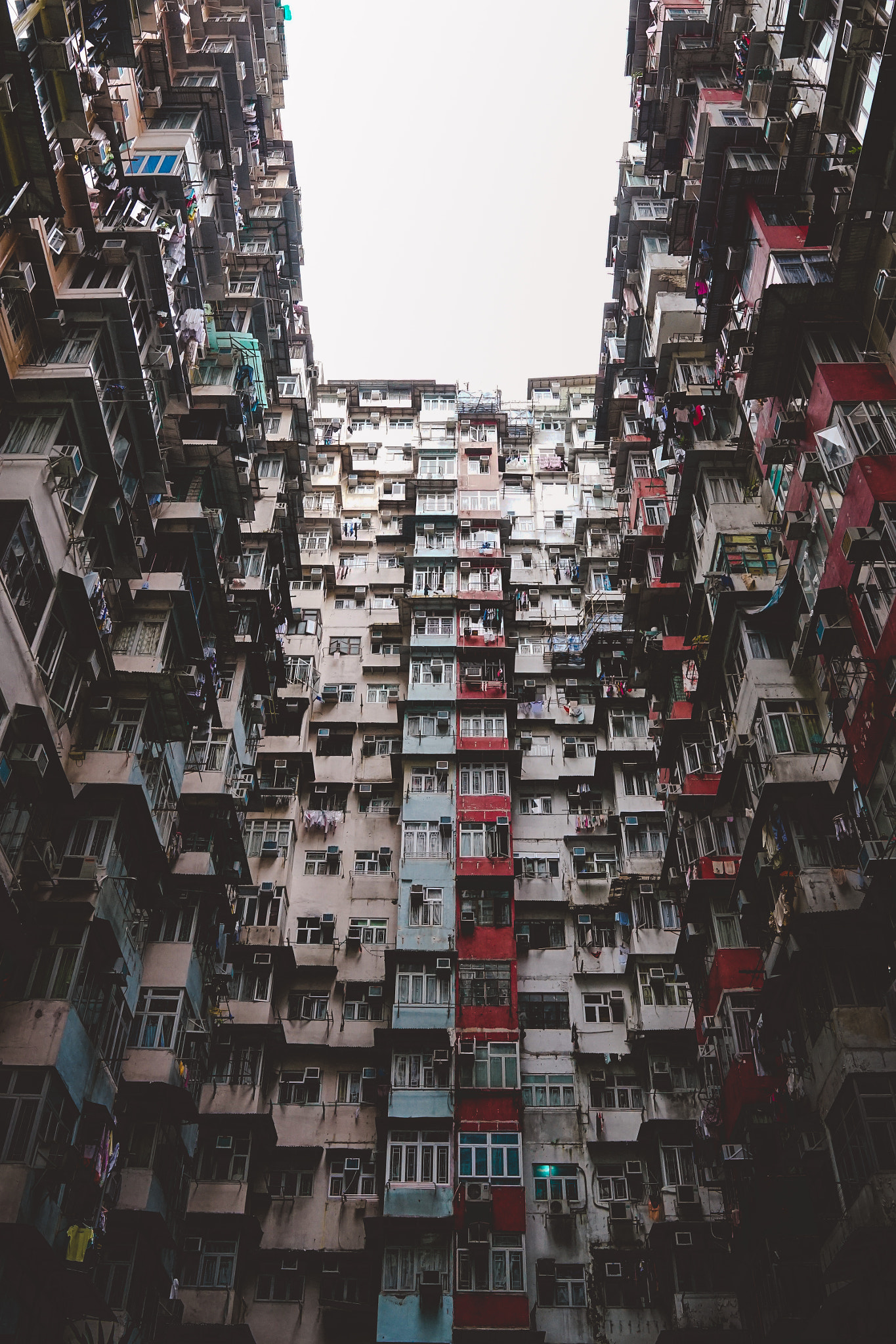 Sony a7 II + Sigma 24-35mm F2 DG HSM Art sample photo. Jungle . photography