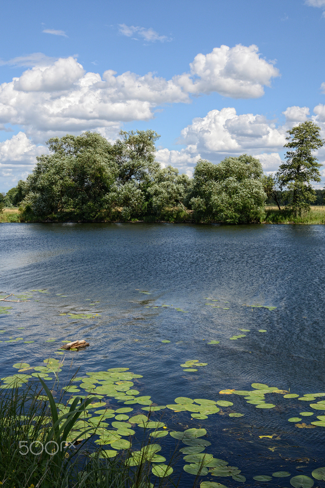 Nikon D800 + Sigma 30mm F1.4 EX DC HSM sample photo. Havel river at summer time (brandenburg, germany). photography