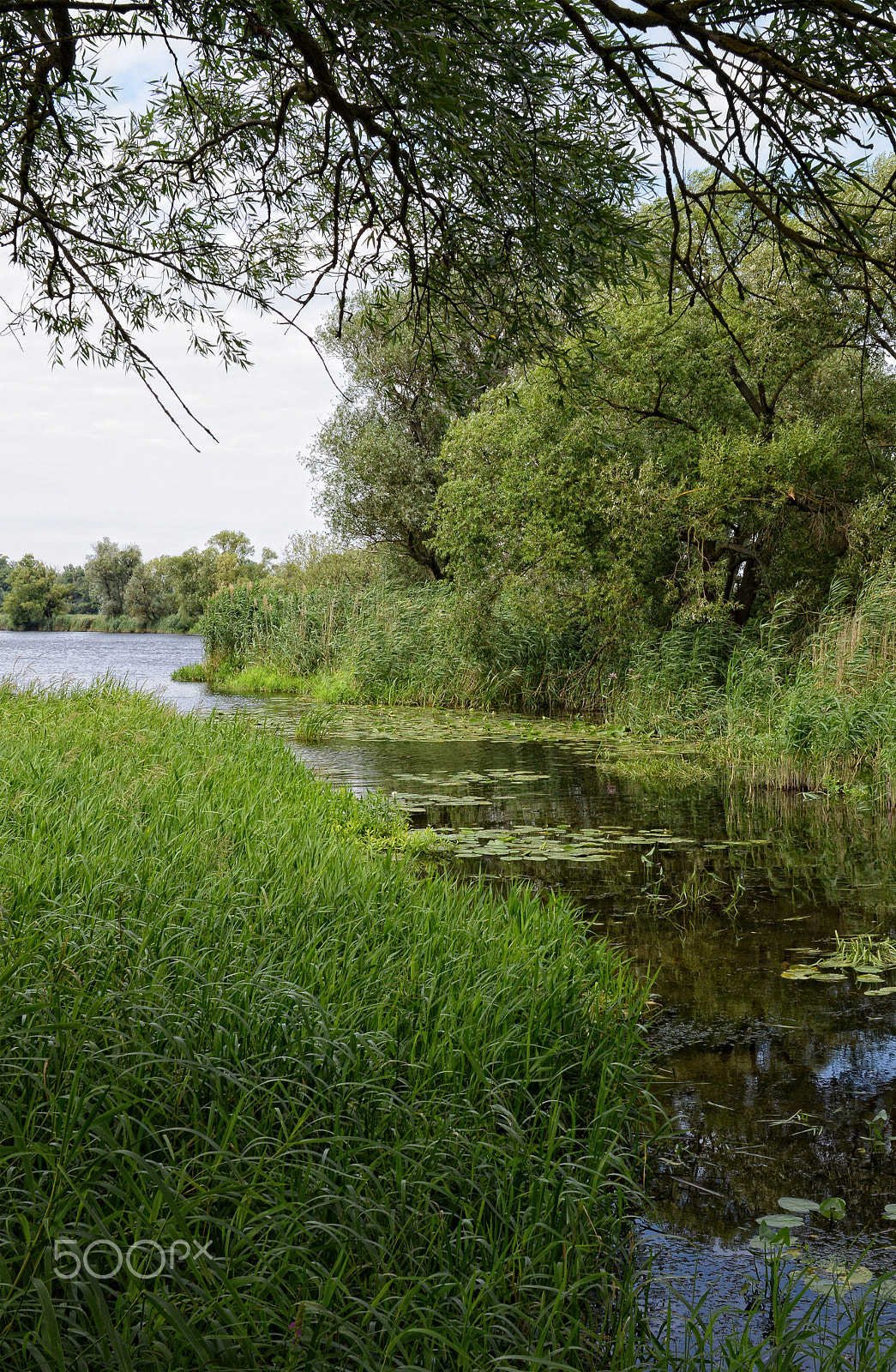 Nikon D800 + Sigma 30mm F1.4 EX DC HSM sample photo. Havel river at summer time (brandenburg, germany). photography