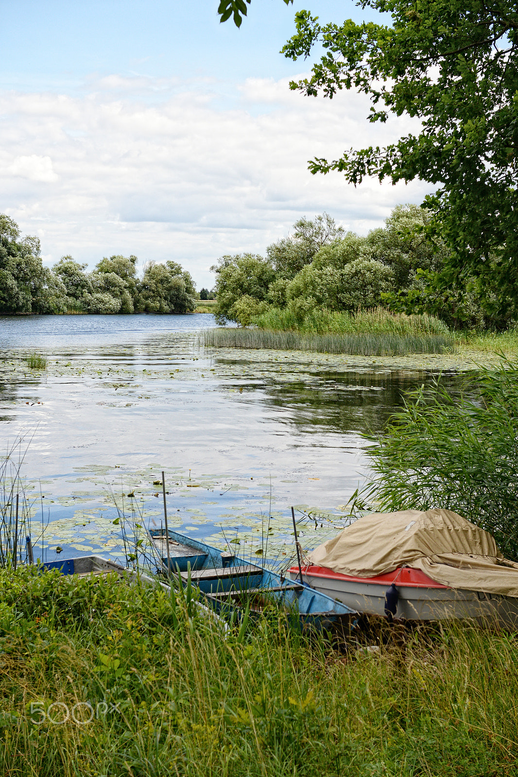 Nikon D800 + Sigma 30mm F1.4 EX DC HSM sample photo. Havel river at summer time (brandenburg, germany). boats on shor photography