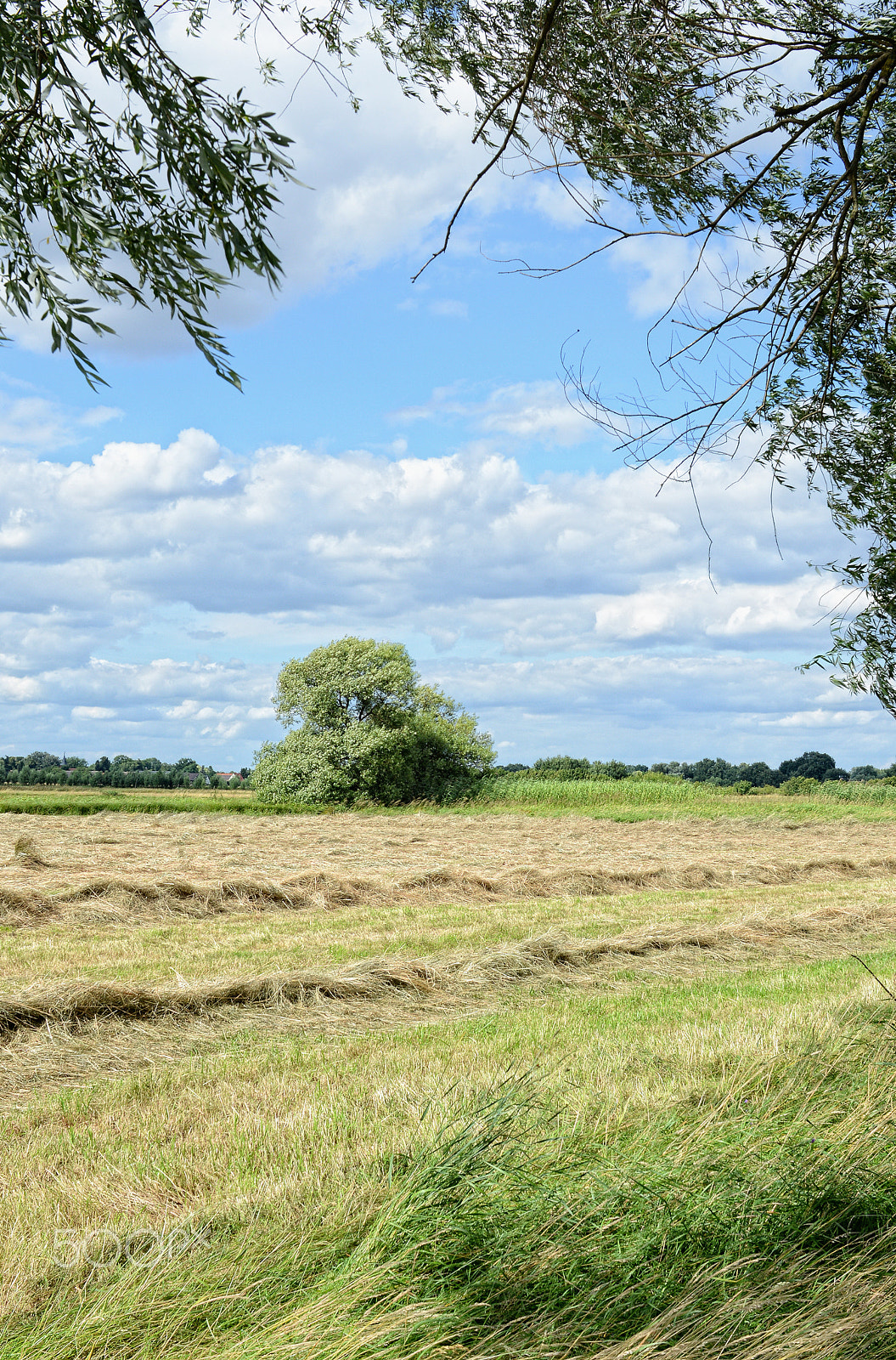 Nikon D800 + Sigma 30mm F1.4 EX DC HSM sample photo. Idyllic landscape of meadow path and bushes around photography