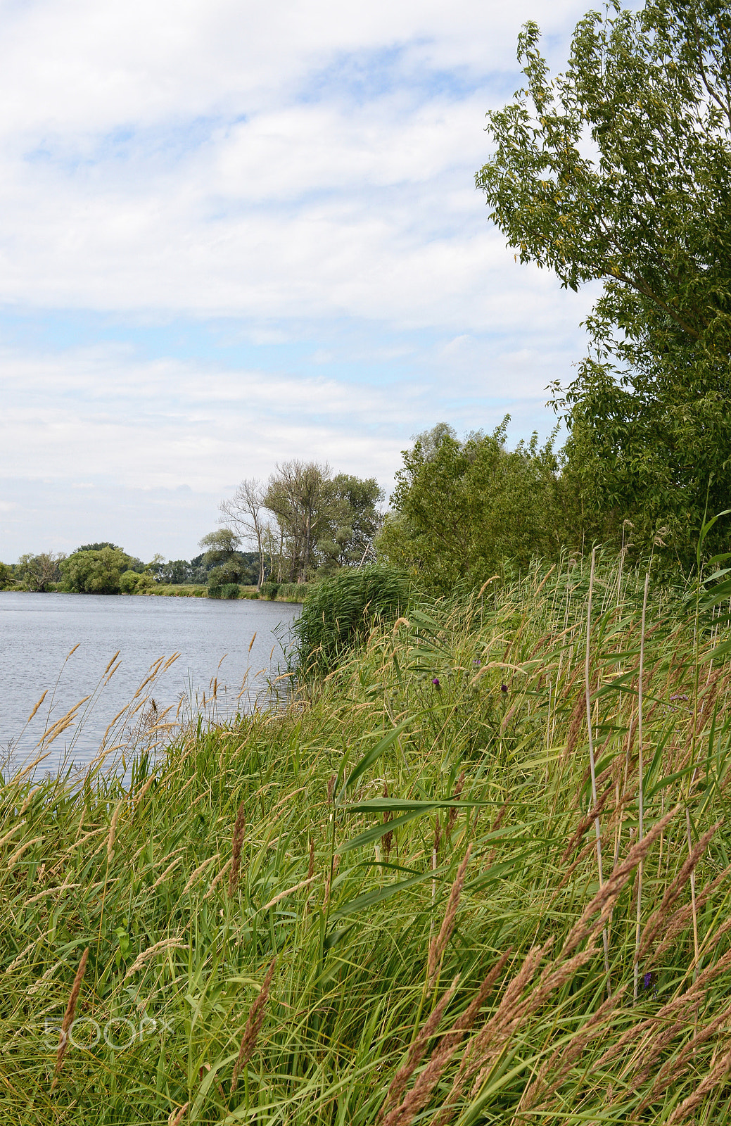 Nikon D800 + Sigma 30mm F1.4 EX DC HSM sample photo. Havel river at summer time (brandenburg, germany). photography