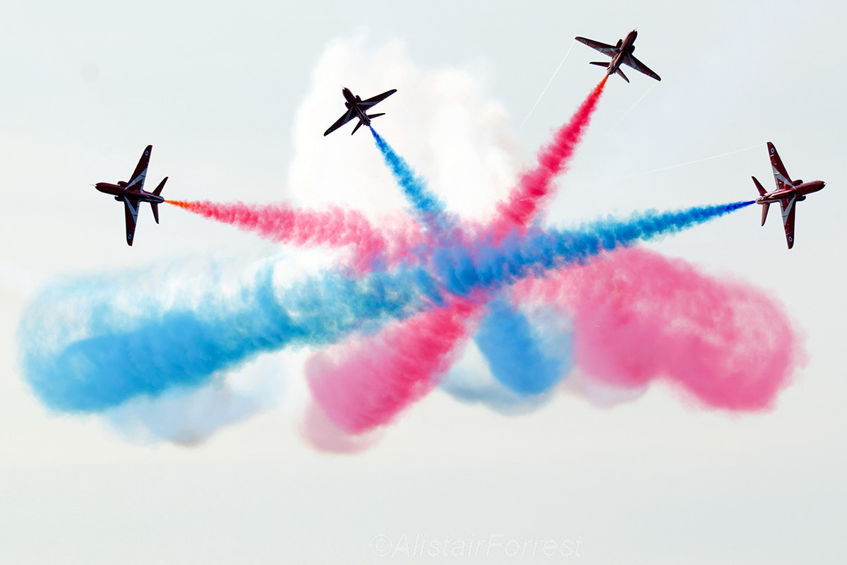 Sigma 150-600mm F5-6.3 DG OS HSM | S sample photo. Reds photography