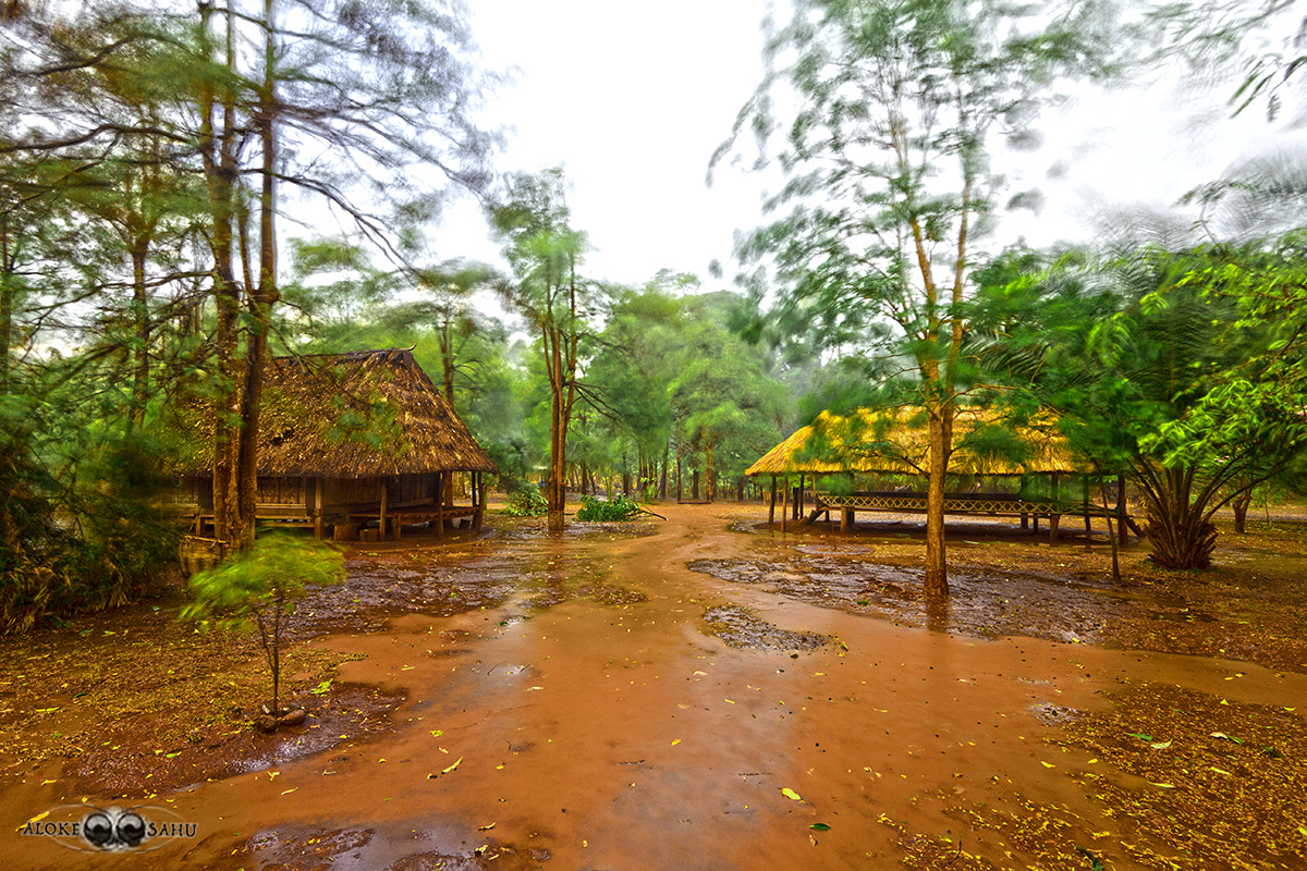 Canon MP-E 65mm F2.5 1-5x Macro Photo sample photo. Thunderstorm on the bolaven plateau photography