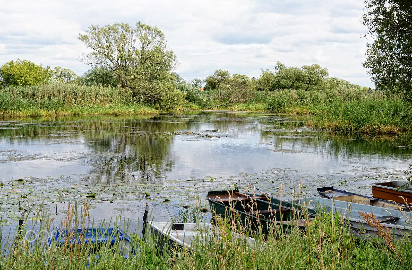 Nikon D800 + Sigma 30mm F1.4 EX DC HSM sample photo. Havel river  (brandenburg, germany). boats on shore photography