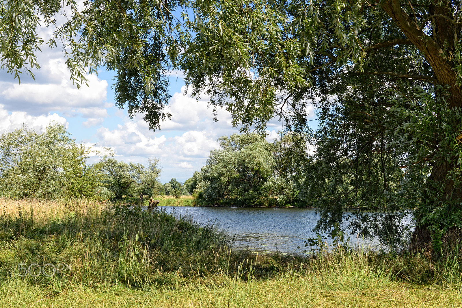 Nikon D800 + Sigma 30mm F1.4 EX DC HSM sample photo. Havel river at summer time (brandenburg, germany). photography