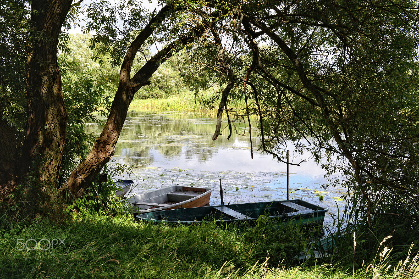 Nikon D800 + Sigma 30mm F1.4 EX DC HSM sample photo. Havel river  (brandenburg, germany). boats on shore photography