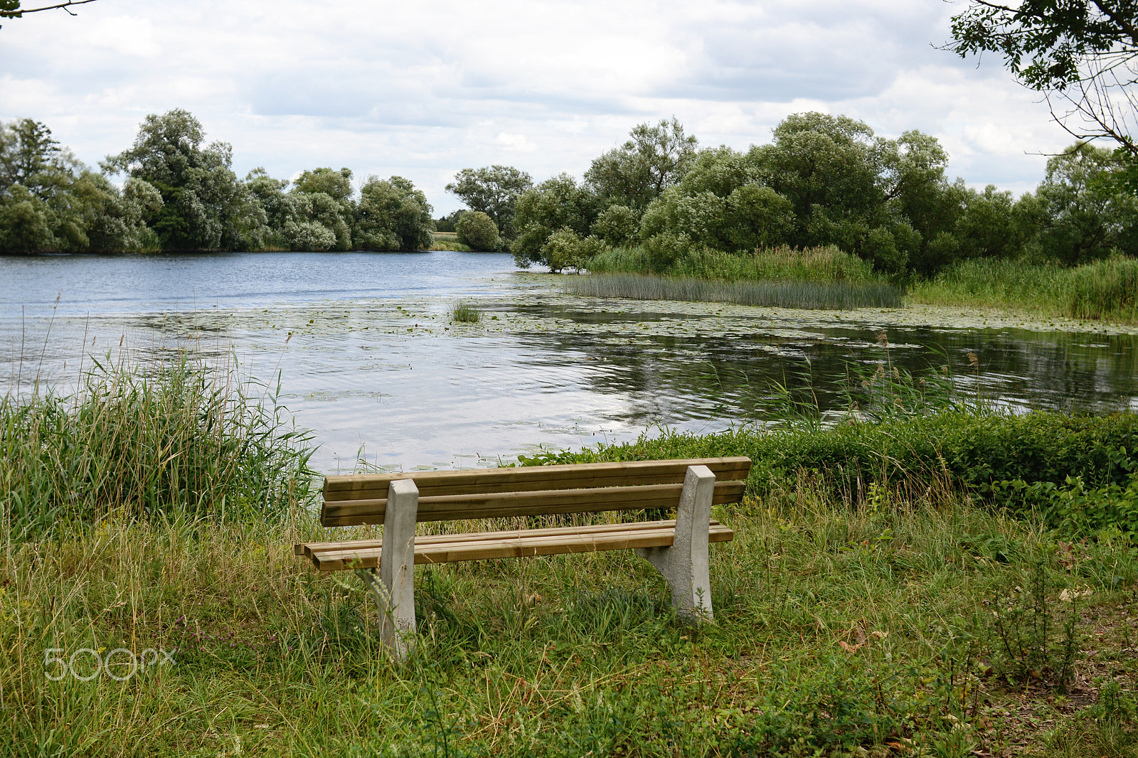 Nikon D800 + Sigma 30mm F1.4 EX DC HSM sample photo. Bench in front of havel river landscape at summer time photography