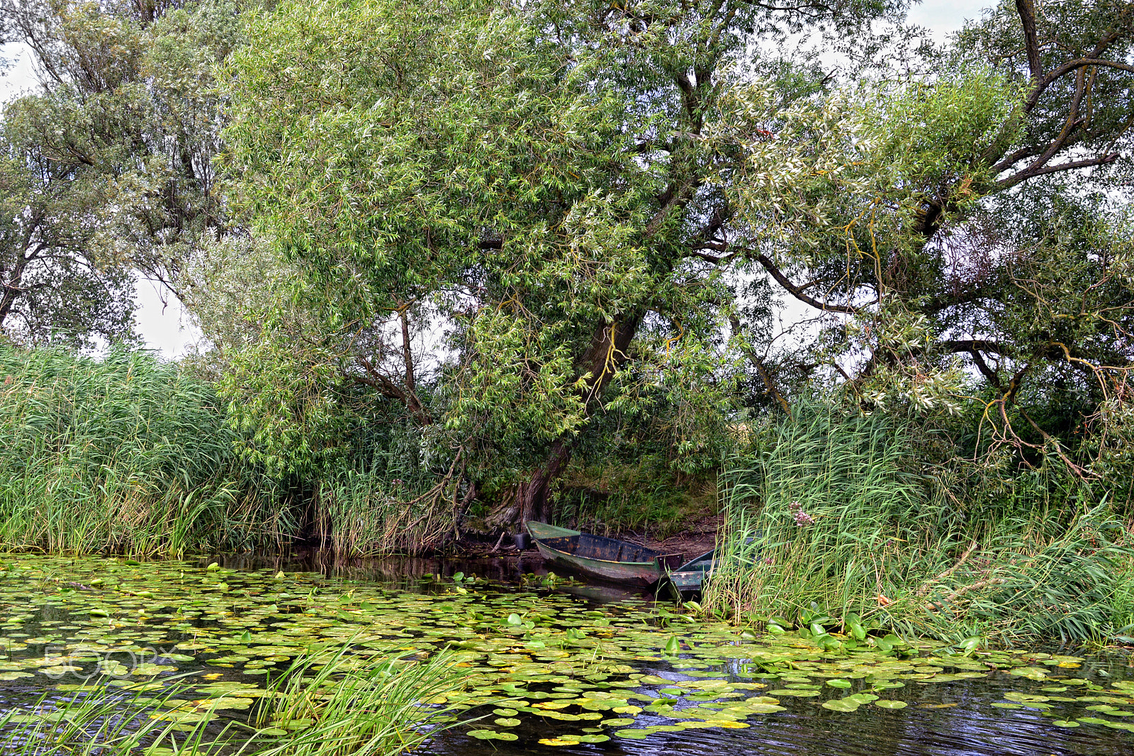 Nikon D800 + Sigma 30mm F1.4 EX DC HSM sample photo. Havel river  (brandenburg, germany). boats on shore photography