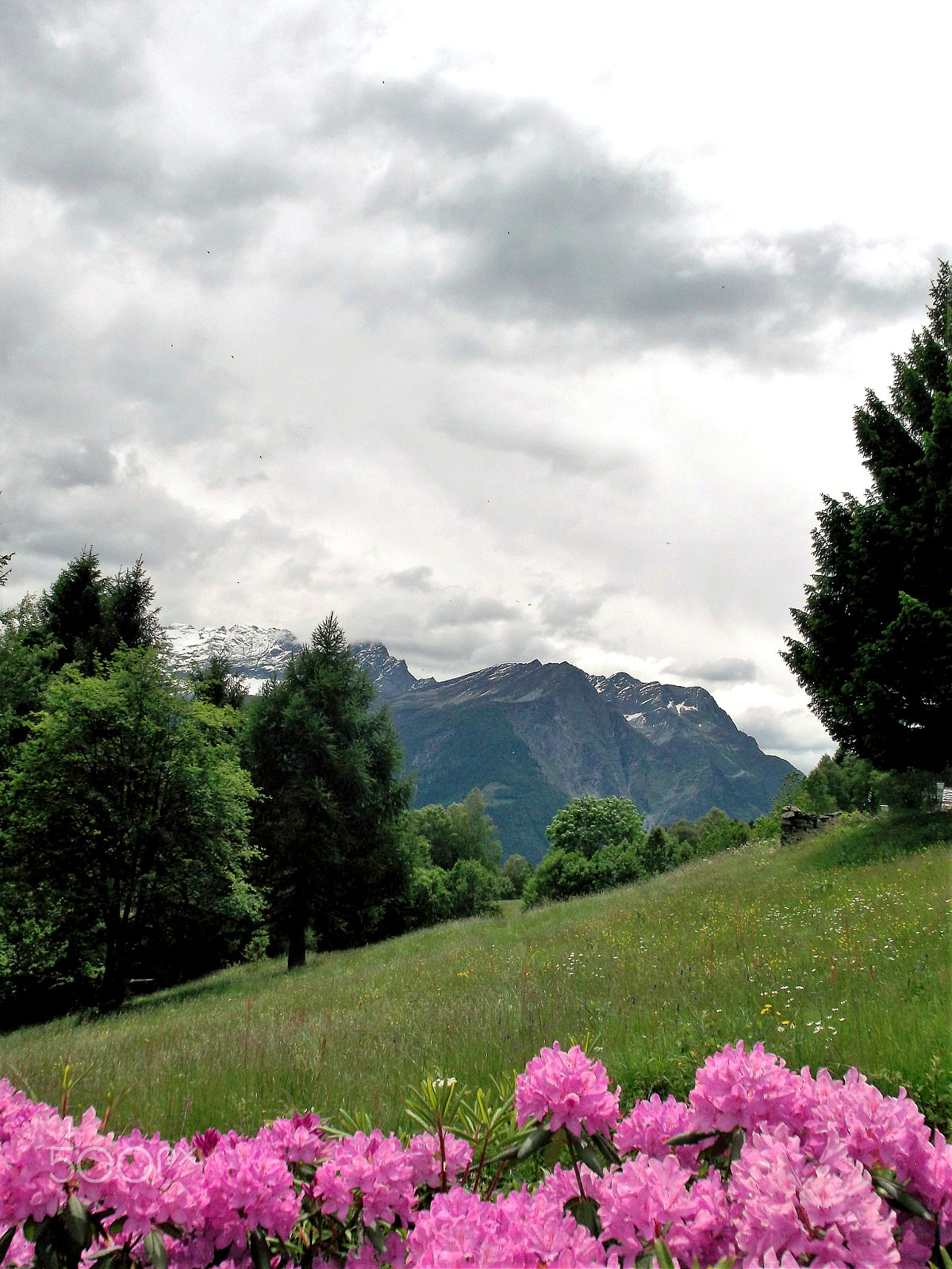 Fujifilm FinePix AX300 sample photo. Tessin - rasoira (valle di blenio) 2016 photography