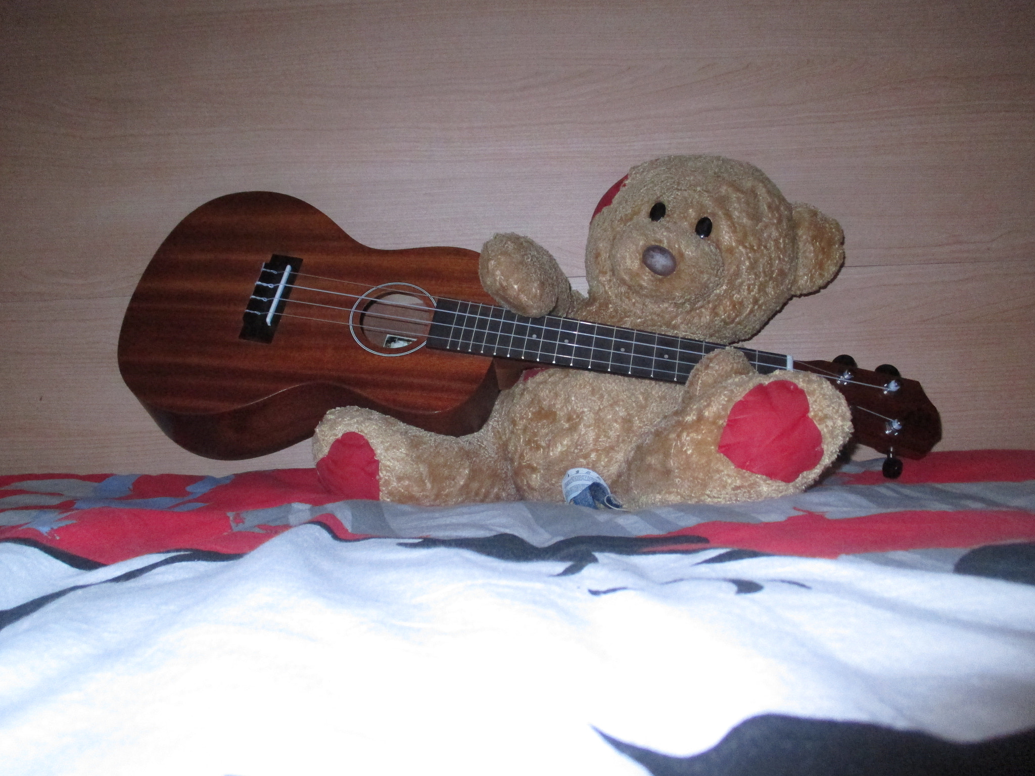 Canon PowerShot ELPH 115 IS (IXUS 132 / IXY 90F) sample photo. Teddy photography