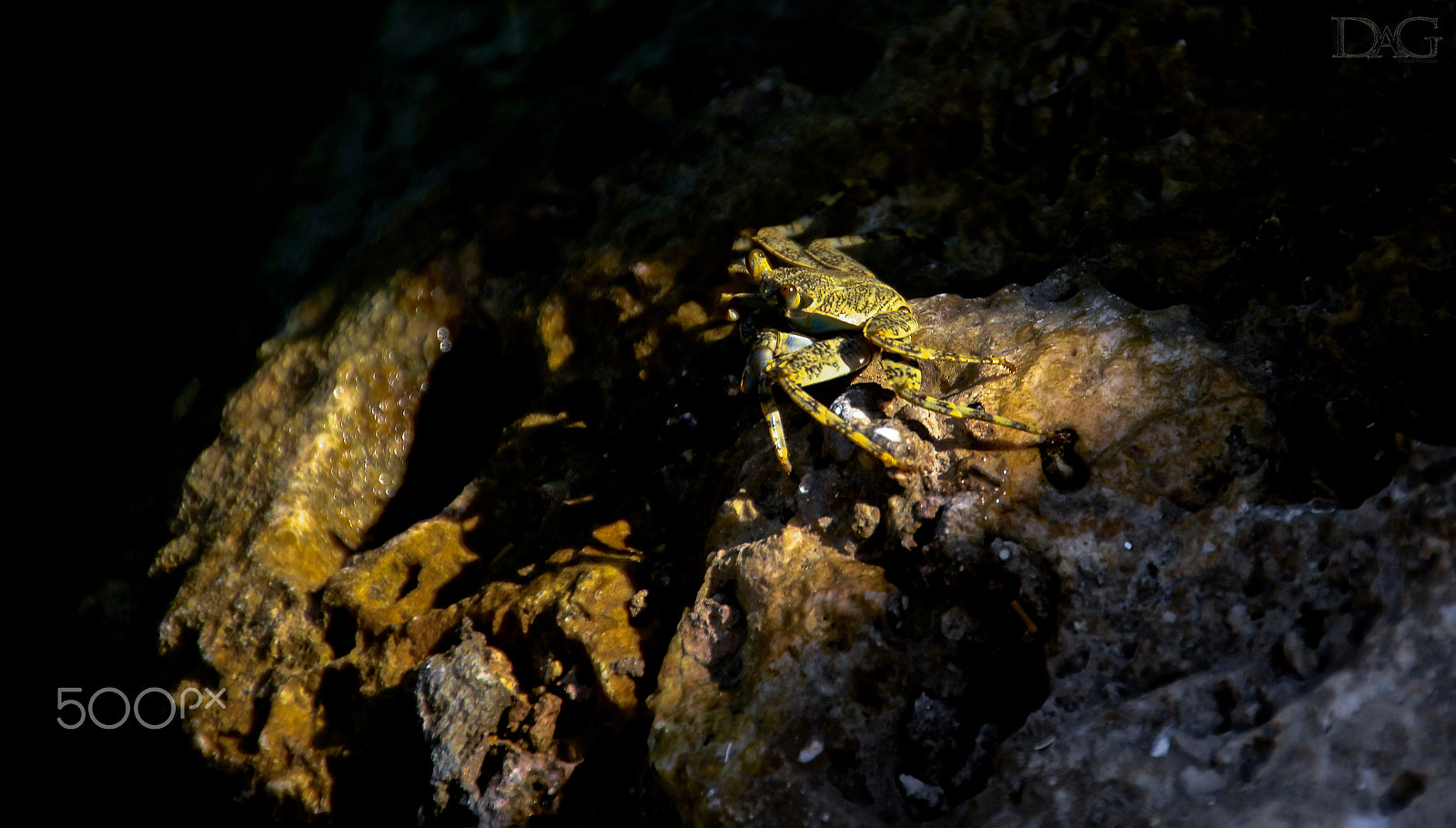 Sigma 18-250mm F3.5-6.3 DC OS HSM sample photo. Krebs - 10 photography