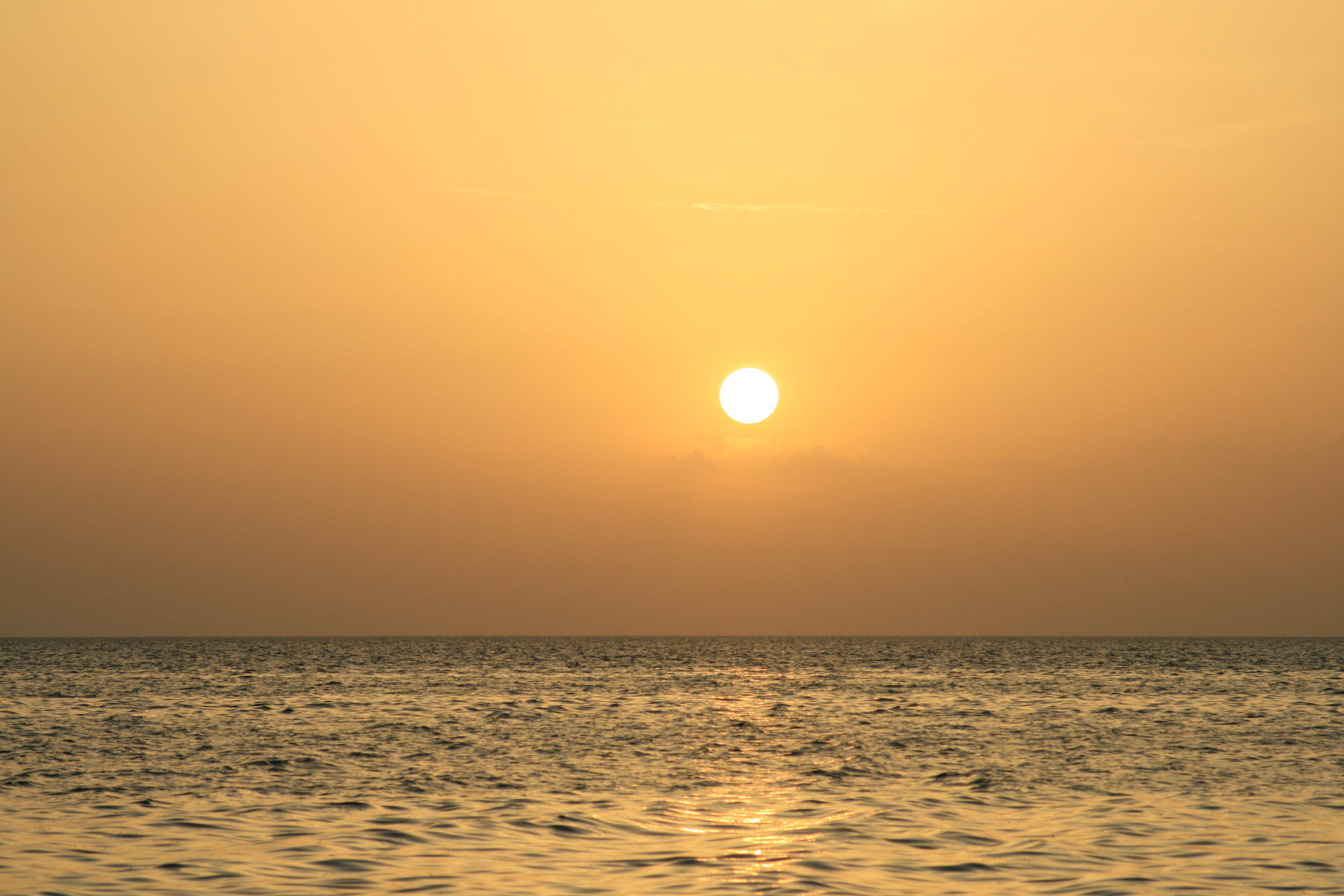 Canon EF 28-105mm f/3.5-4.5 USM sample photo. Golden sky photography