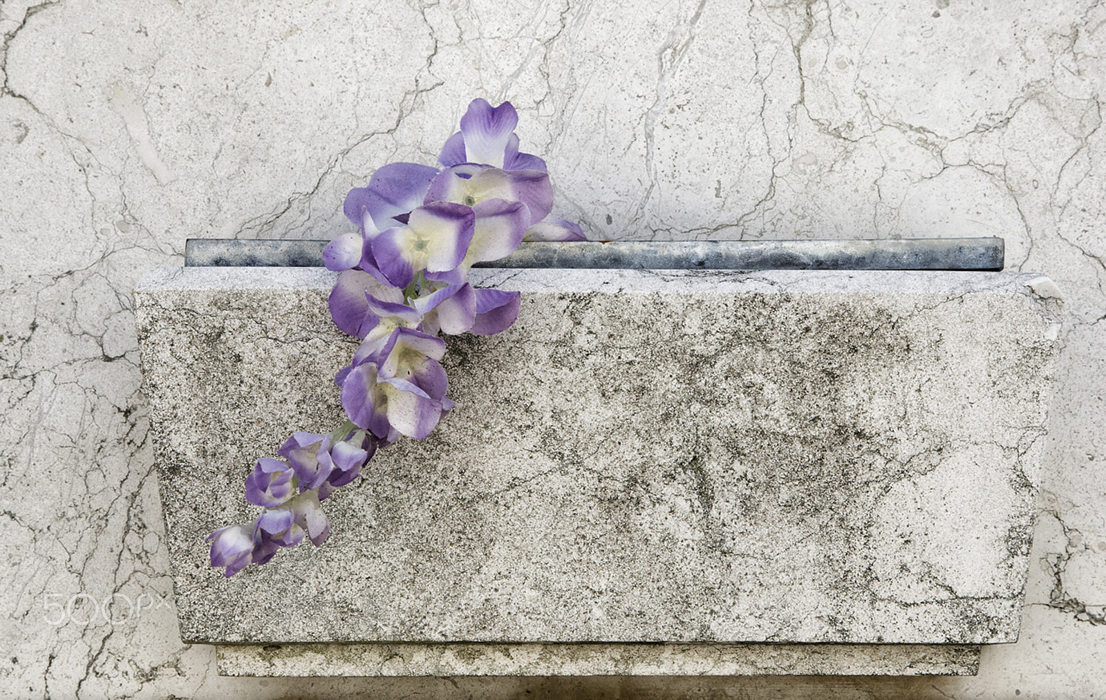 Canon EOS-1D Mark III sample photo. Memorial photography
