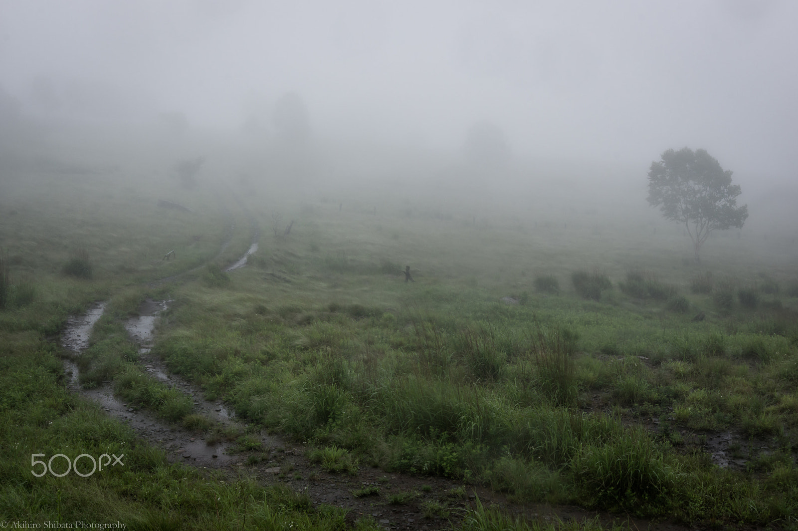Pentax K-3 + Sigma 18-35mm F1.8 DC HSM Art sample photo. In the mist photography