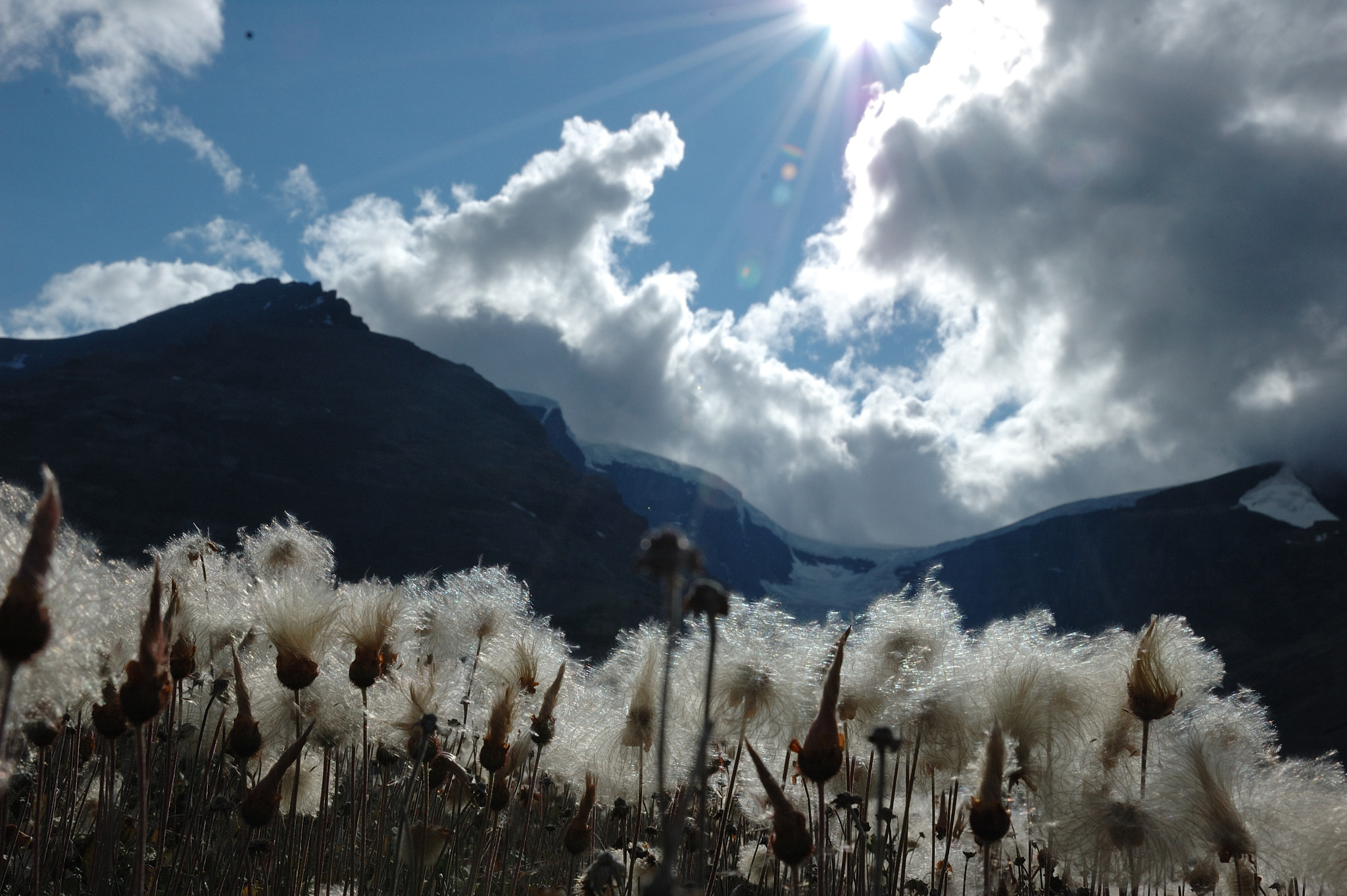 Nikon D70 sample photo. Nice weekend travel in glacier columbia icefield photography