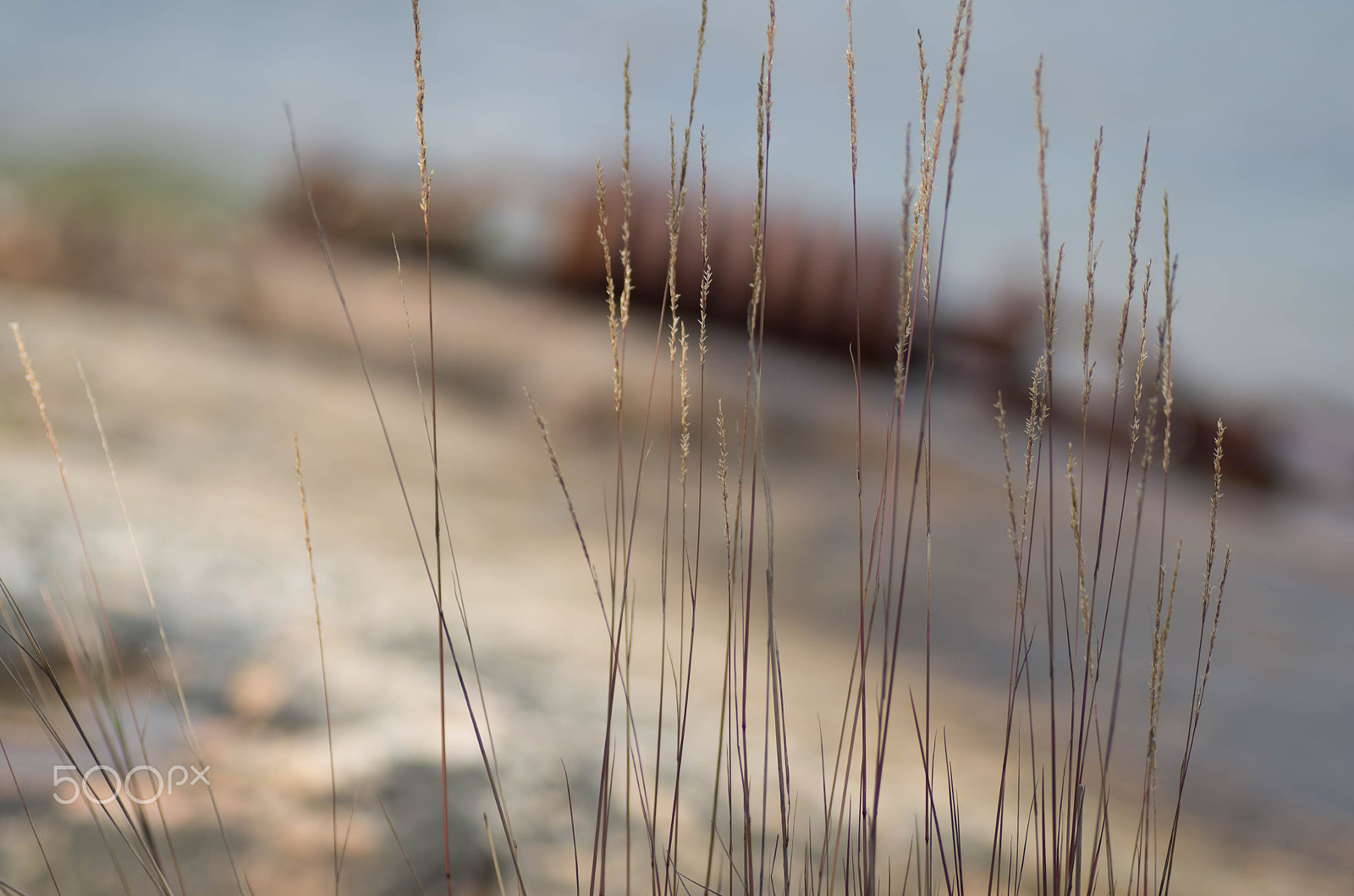 Pentax K-30 + Tamron SP AF 90mm F2.8 Di Macro sample photo. Seascape photography