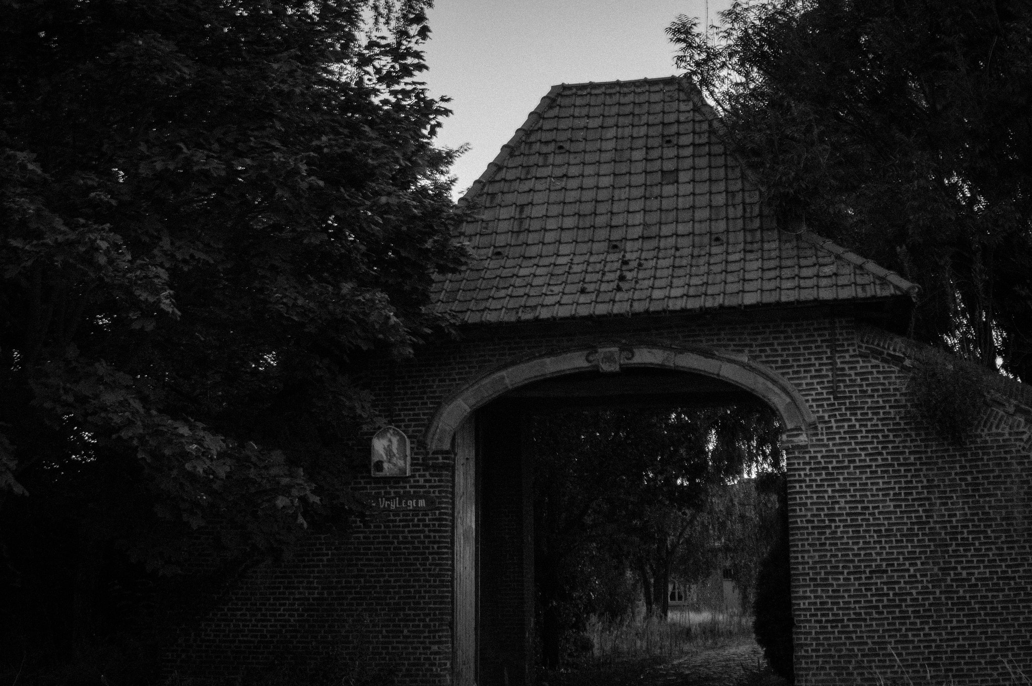 Sony Alpha a5000 (ILCE 5000) + Sigma 30mm F1.4 DC DN | C sample photo. Entrance between trees photography