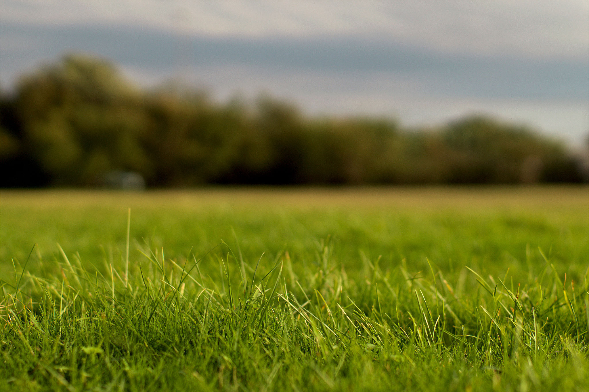 Sony SLT-A57 + Sony 50mm F1.4 sample photo. Lunatic photography
